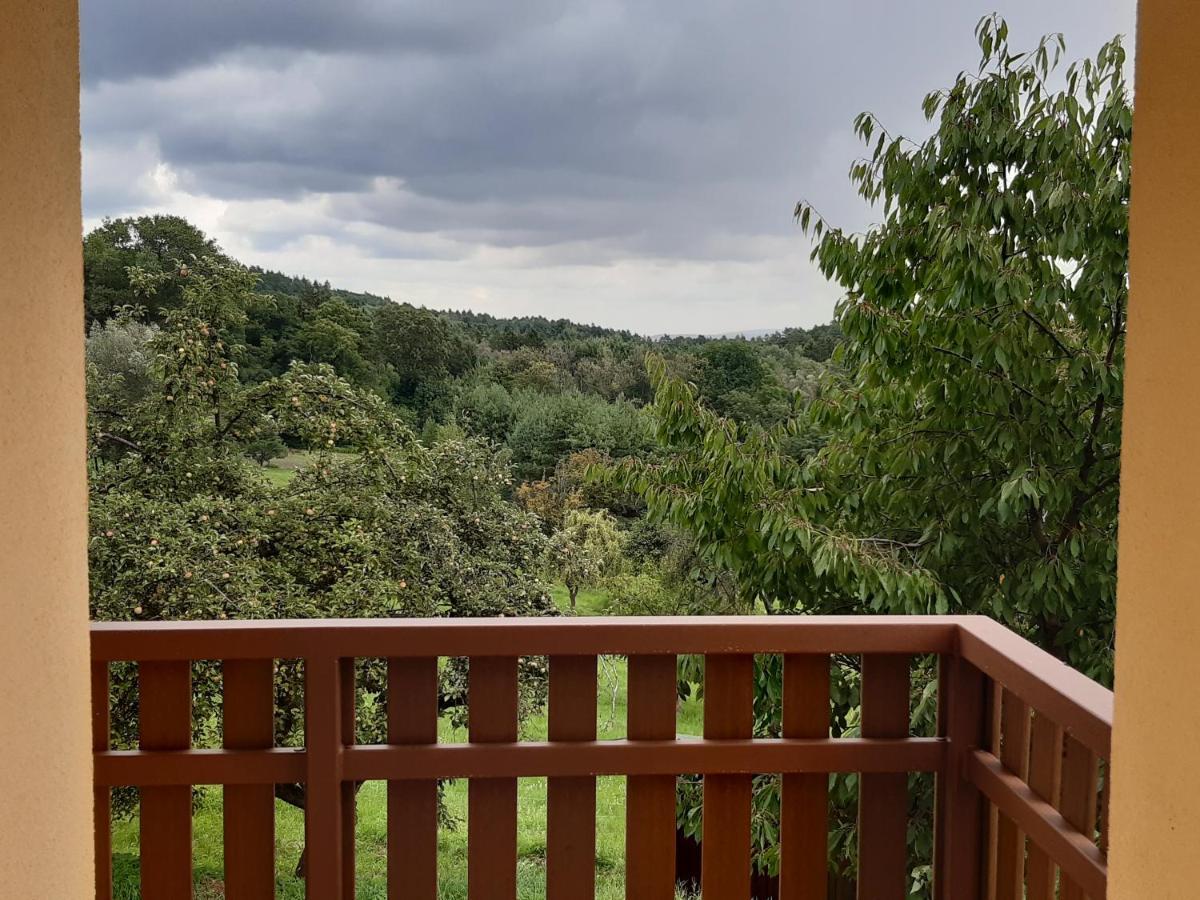 Apartmany U Zvonicky Prachov Extérieur photo